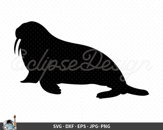 Detail Clipart Walrus Nomer 30