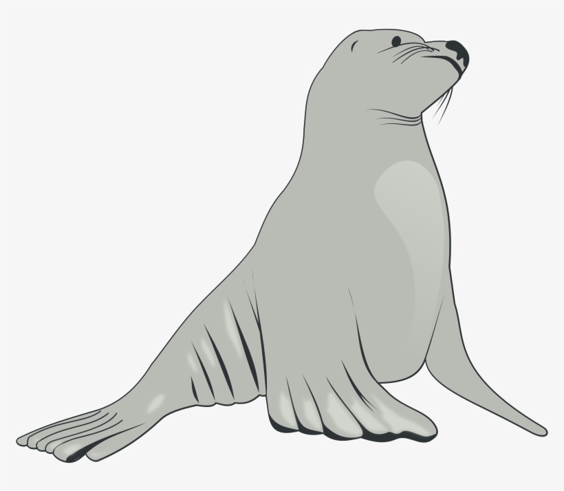 Detail Clipart Walrus Nomer 33