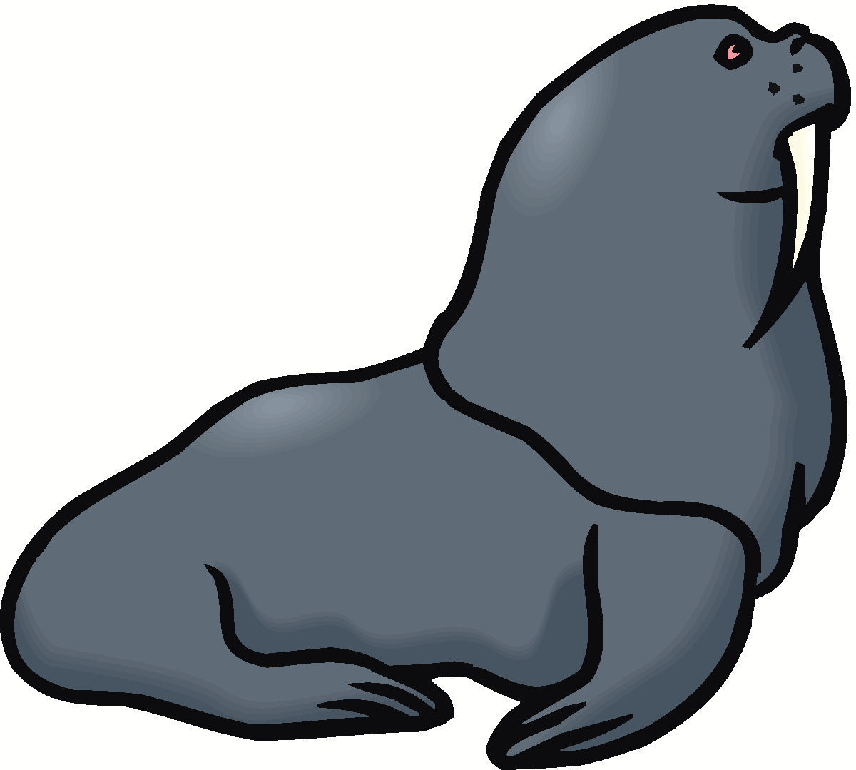 Detail Clipart Walrus Nomer 34