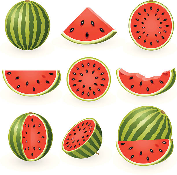 Detail Clipart Watermelons Nomer 22