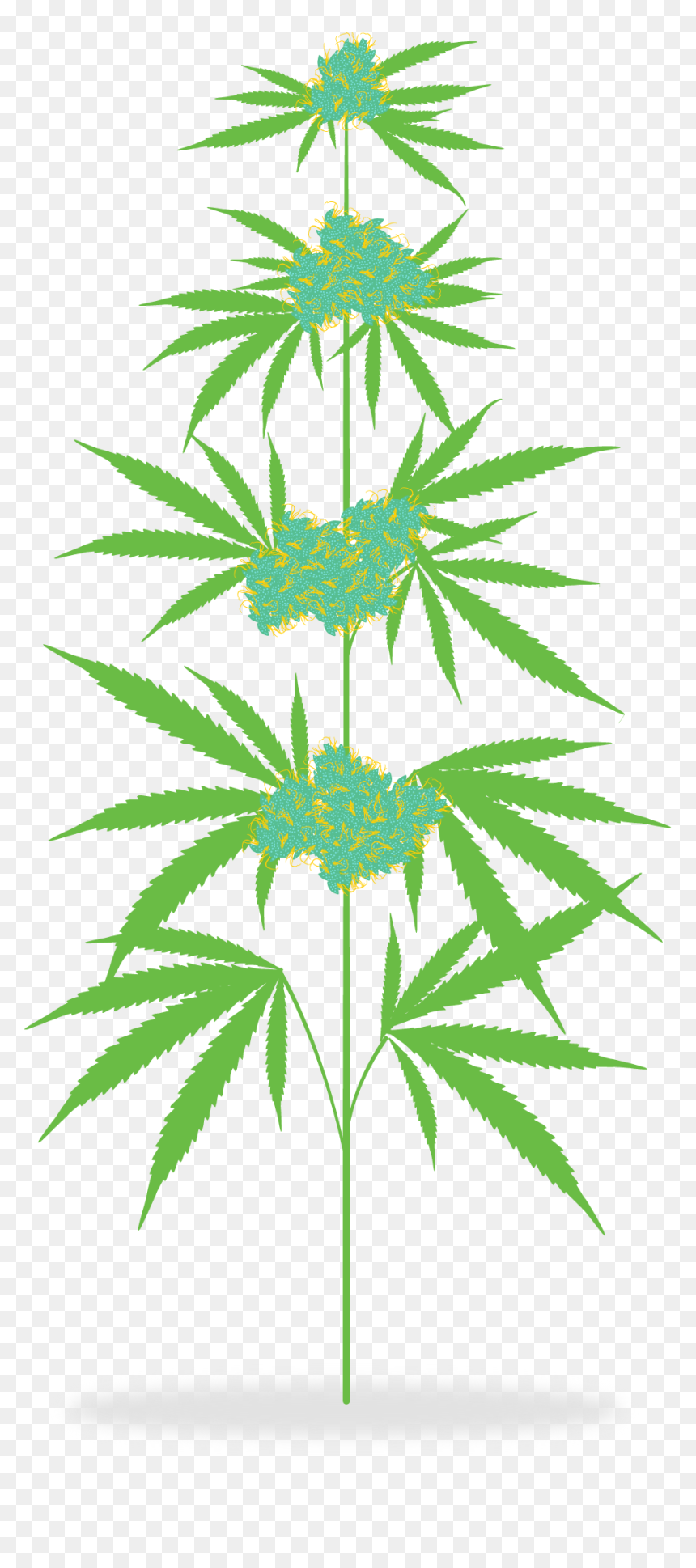 Detail Clipart Weed Nomer 37