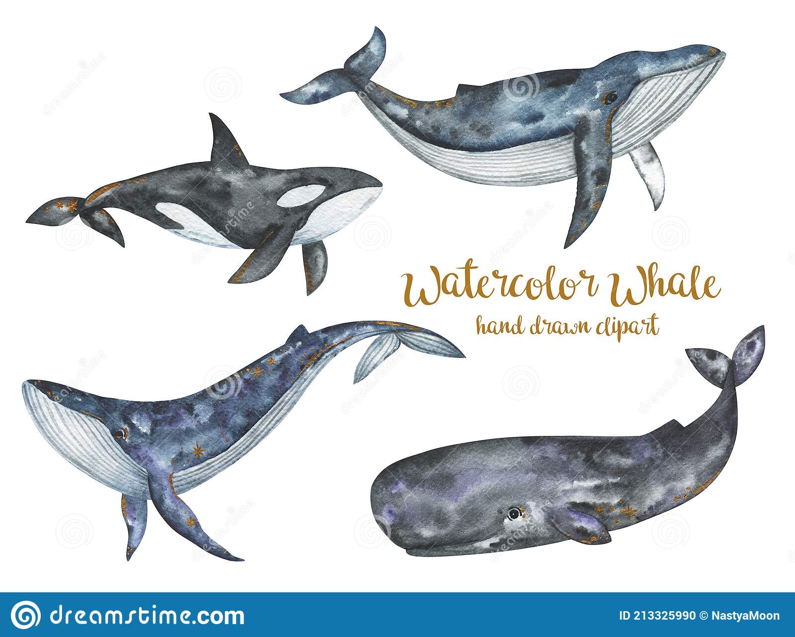 Detail Clipart Whale Nomer 49