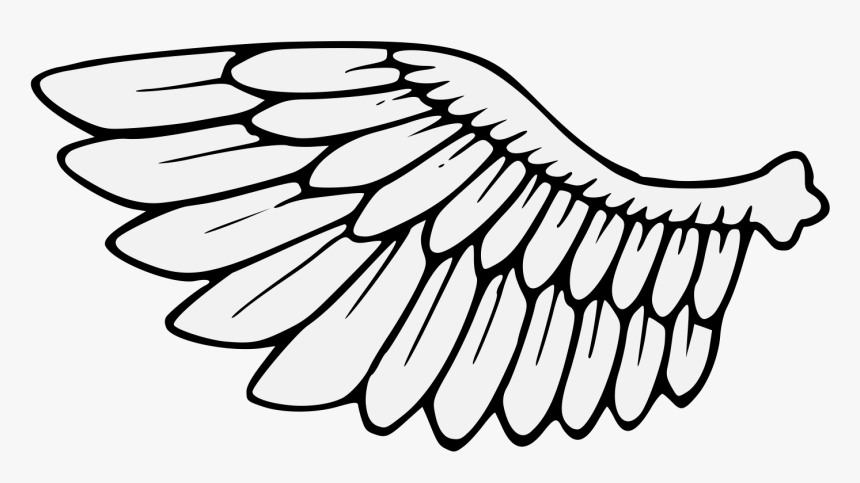 Detail Clipart Wings Nomer 3