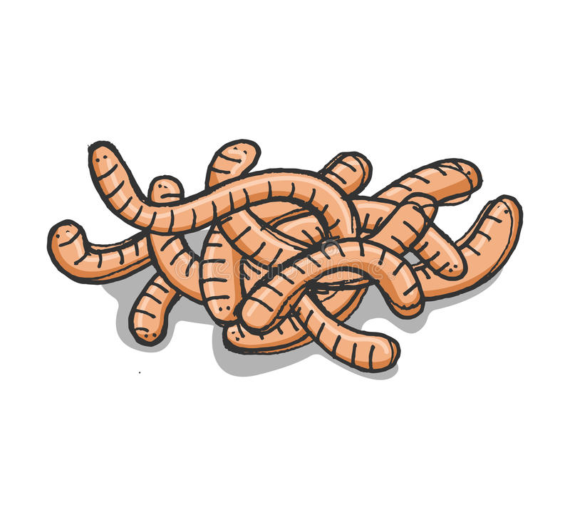 Detail Clipart Worms Nomer 33