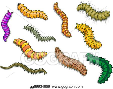 Detail Clipart Worms Nomer 47