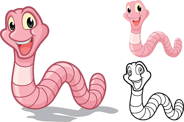 Detail Clipart Worms Nomer 48
