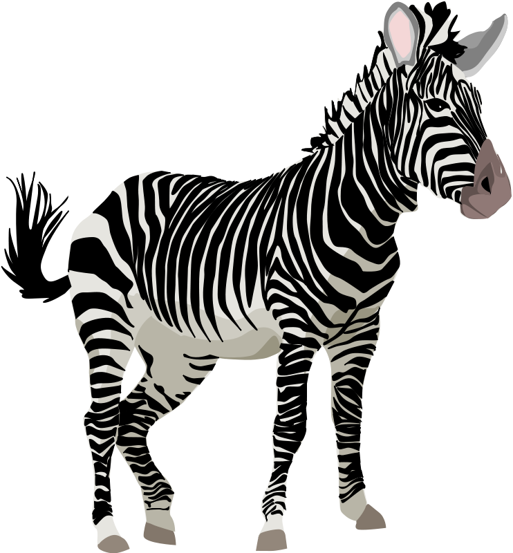 Detail Clipart Zebra Nomer 12