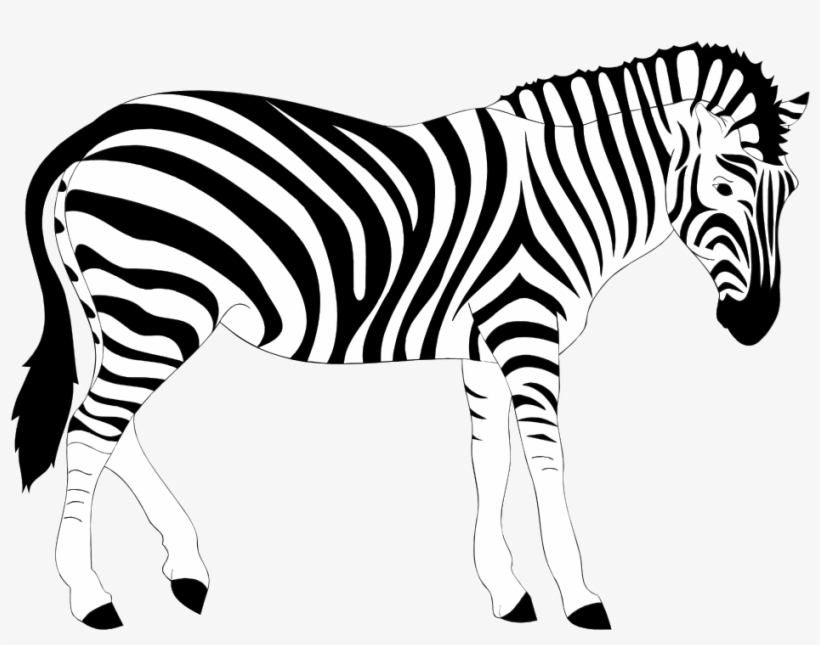 Detail Clipart Zebra Nomer 16