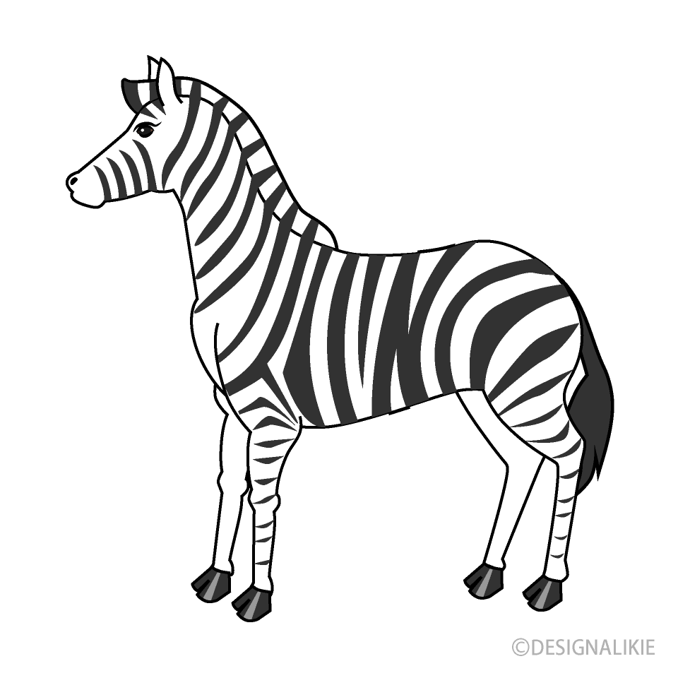 Detail Clipart Zebra Nomer 4