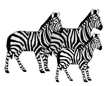 Detail Clipart Zebra Nomer 28