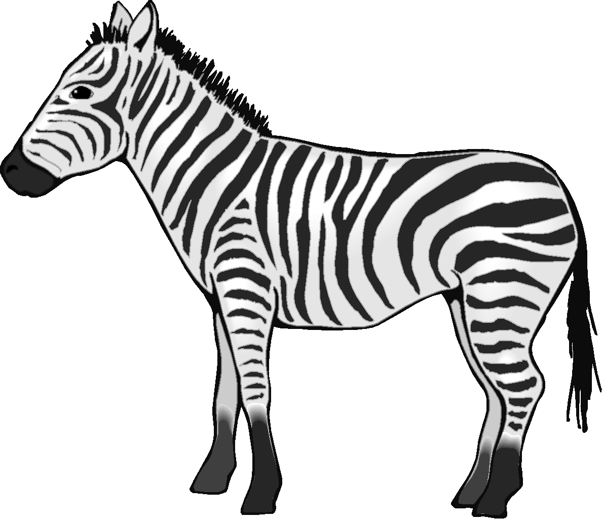 Detail Clipart Zebra Nomer 36