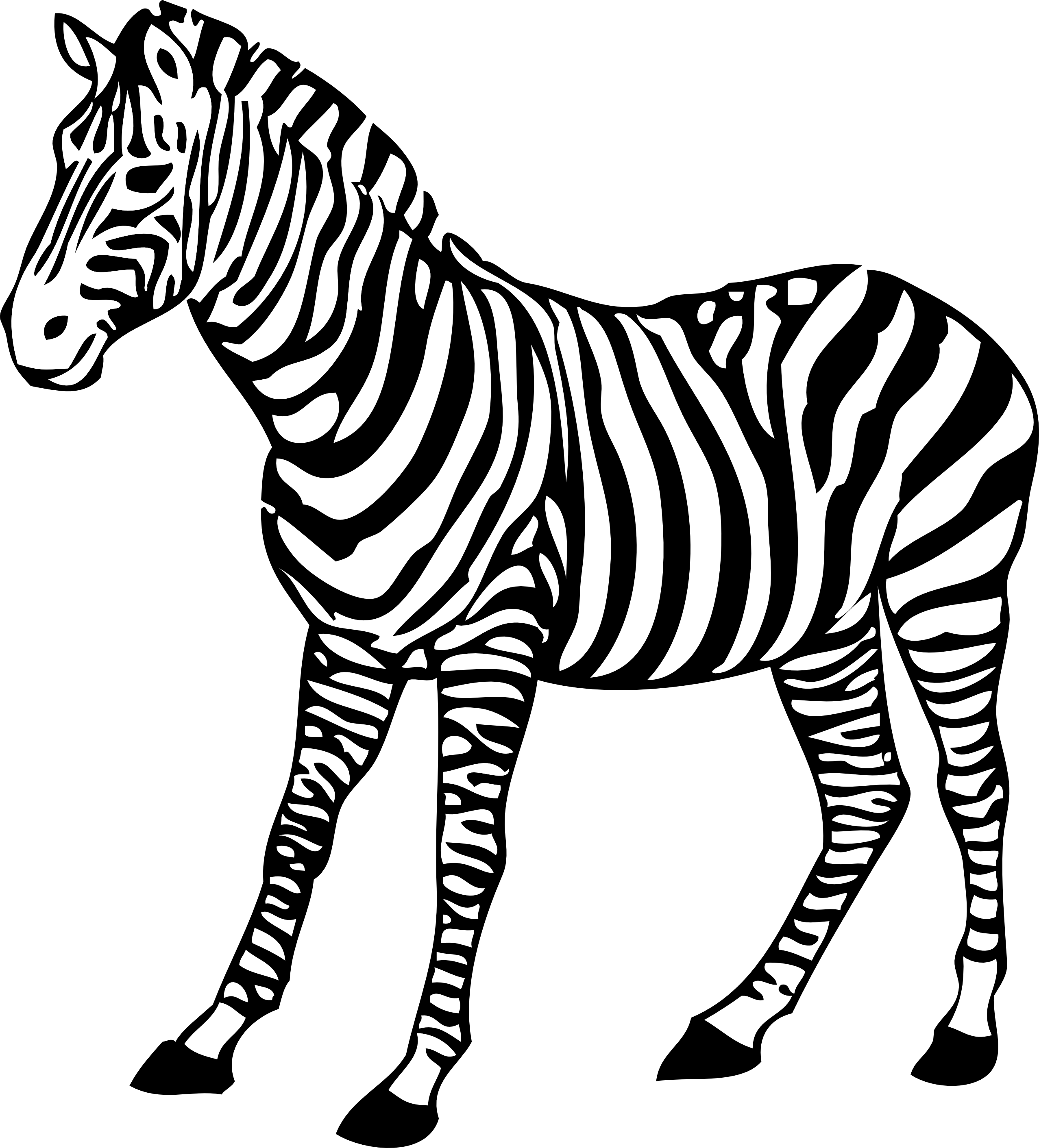 Detail Clipart Zebra Nomer 6