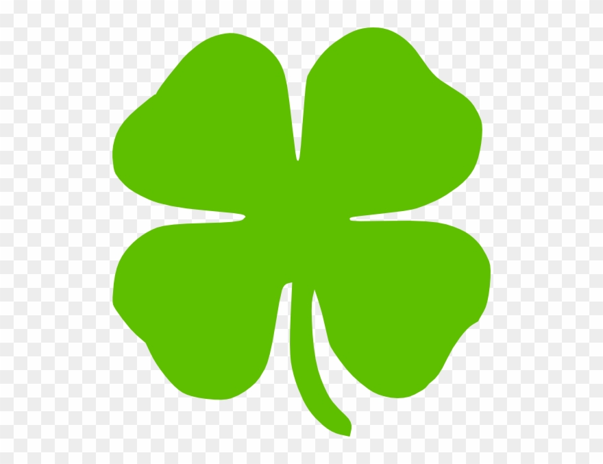 Detail Clover Transparent Nomer 14