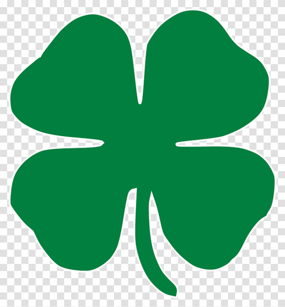 Detail Clover Transparent Nomer 17