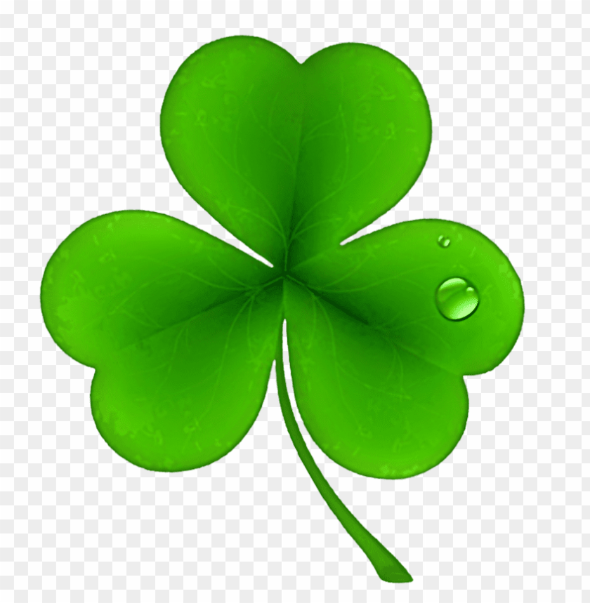Detail Clover Transparent Nomer 23