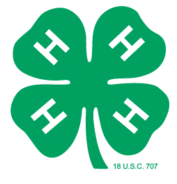 Detail Clover Transparent Nomer 30