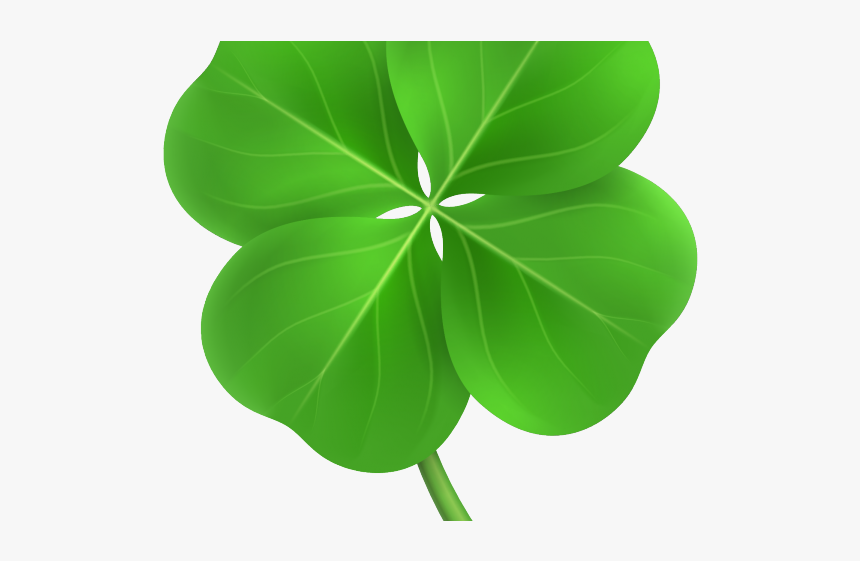 Detail Clover Transparent Nomer 44