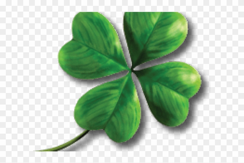 Detail Clover Transparent Nomer 47