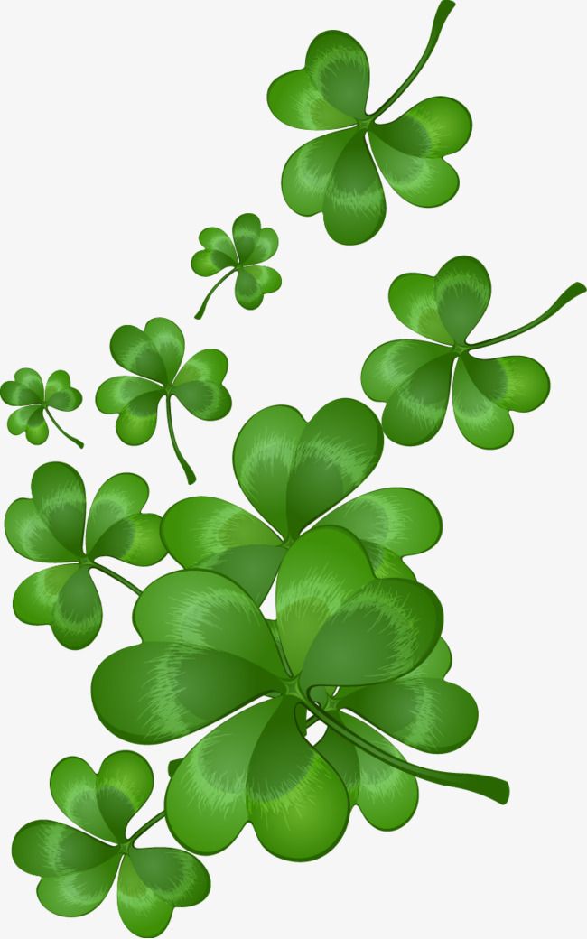 Detail Clovers Png Nomer 4