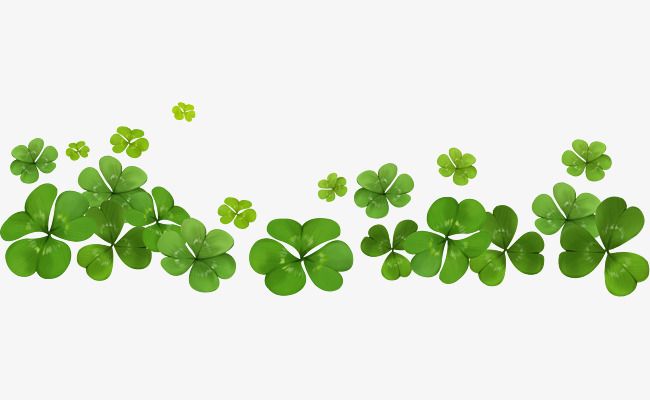 Detail Clovers Png Nomer 7