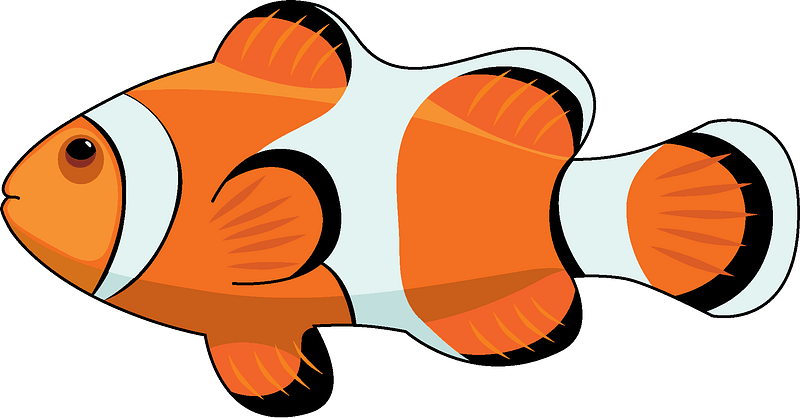 Clown Fish Clipart - KibrisPDR