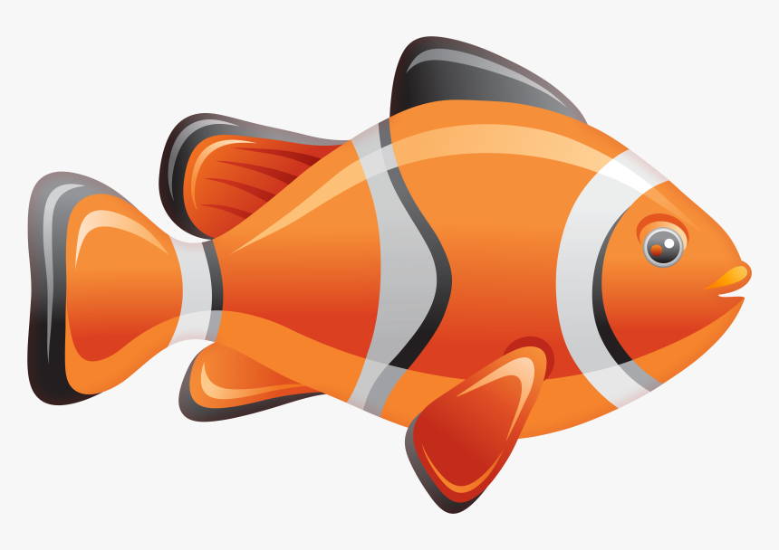 Detail Clown Fish Clipart Nomer 16