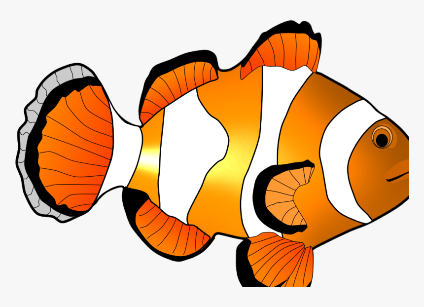 Detail Clown Fish Clipart Nomer 3