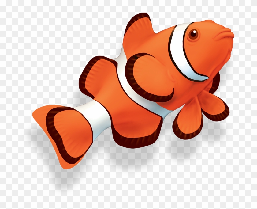 Detail Clown Fish Clipart Nomer 27