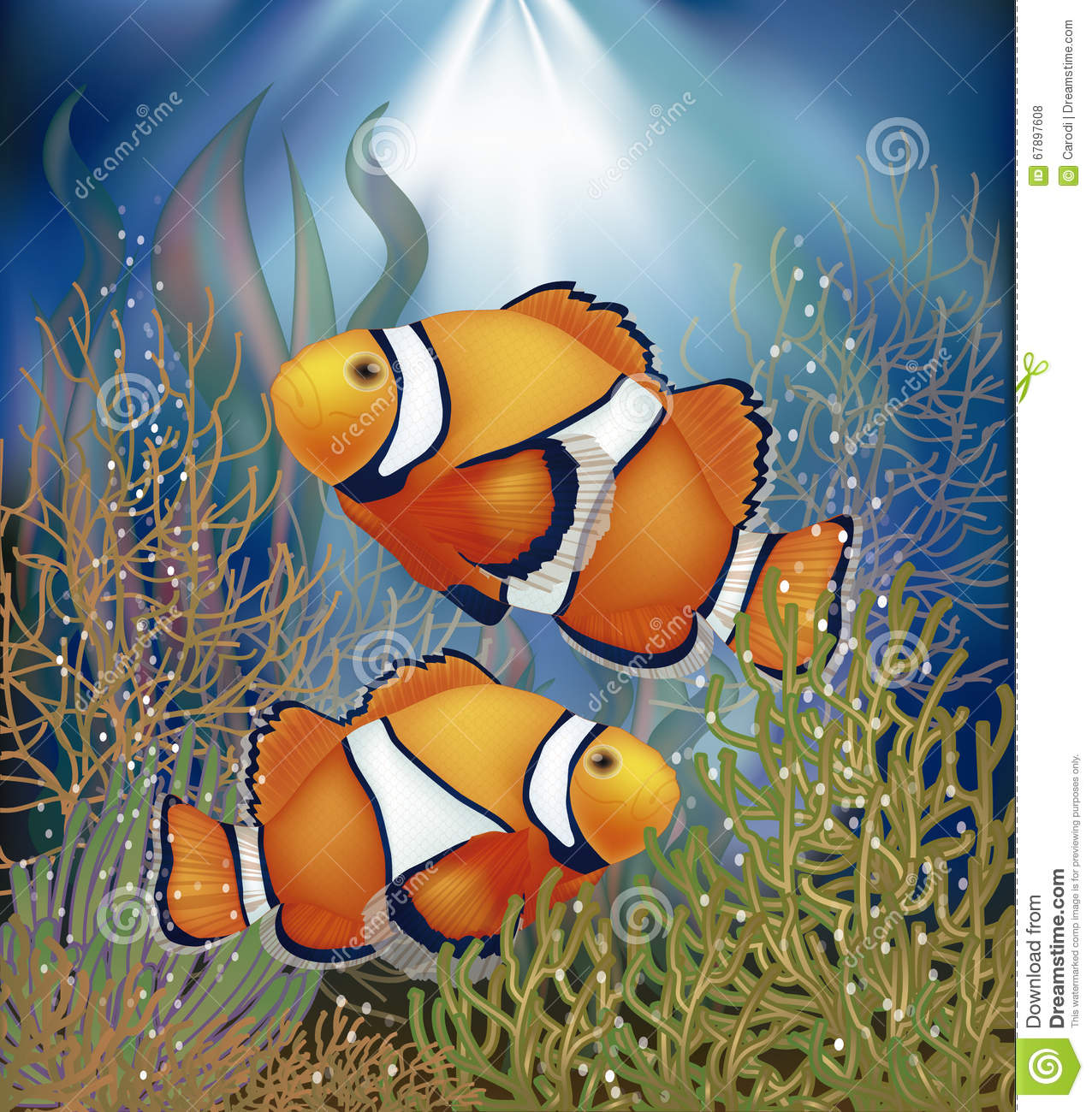 Detail Clown Fish Wallpaper Nomer 35