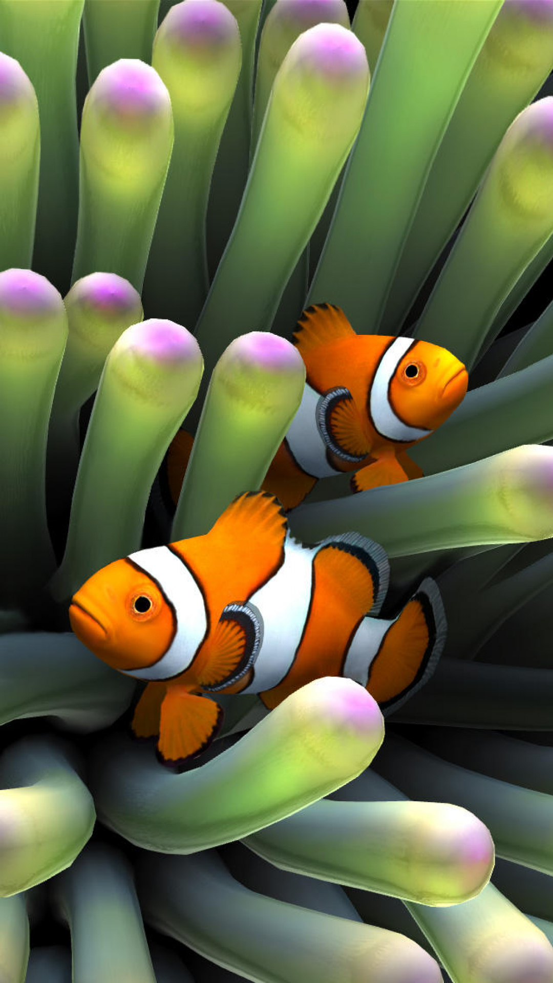 Detail Clown Fish Wallpaper Nomer 39