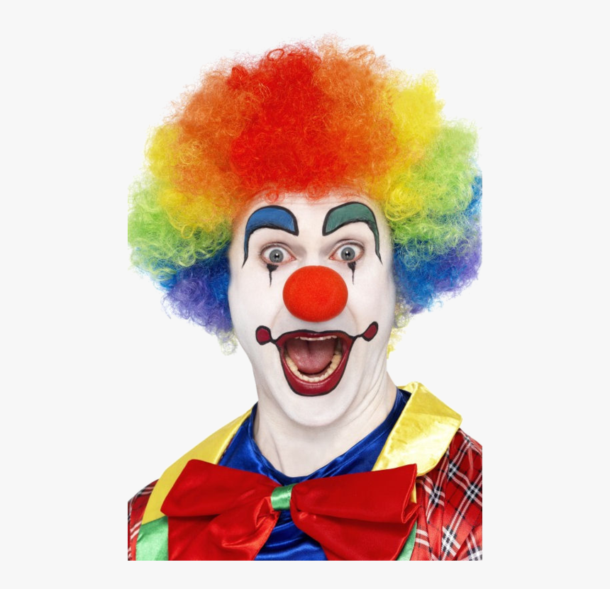 Detail Clown Wig No Background Nomer 23