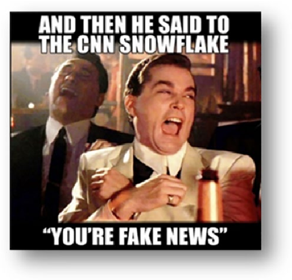 Detail Cnn Fake News Meme Nomer 52