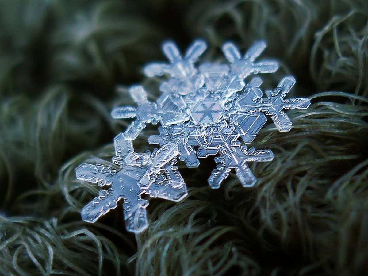 Detail Coalesce Snowflake Nomer 14
