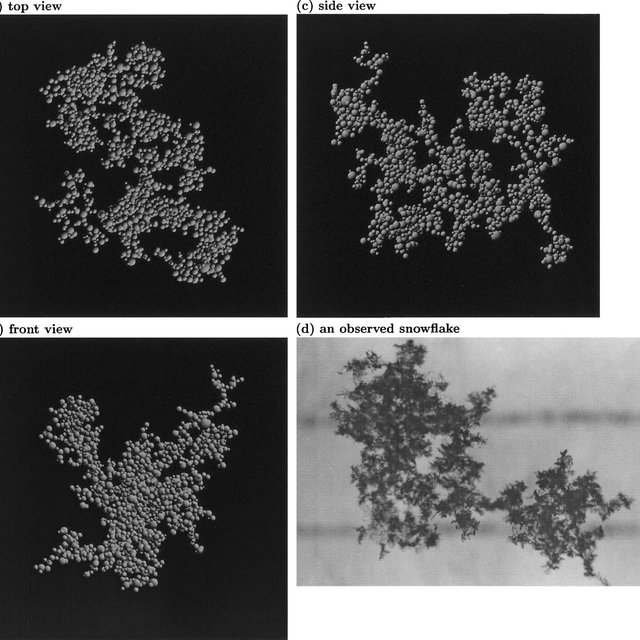 Detail Coalesce Snowflake Nomer 16