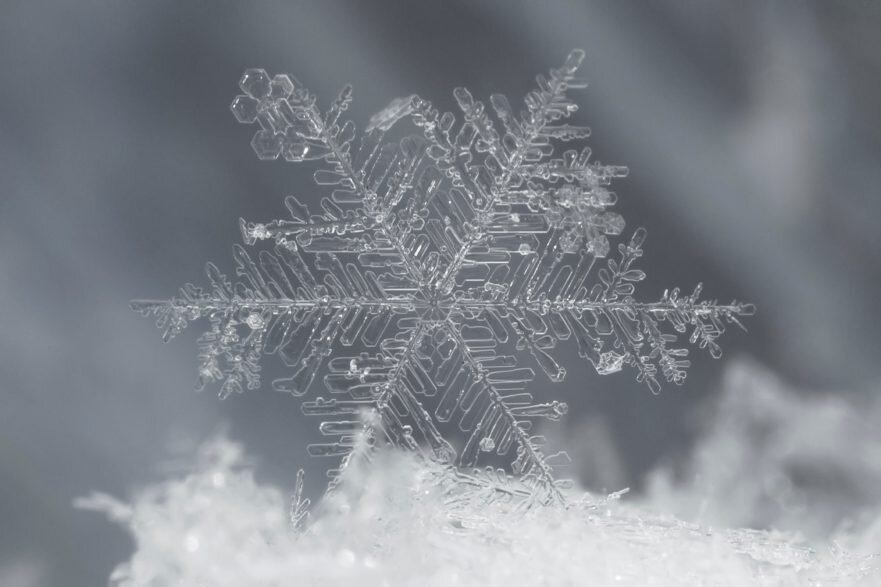 Detail Coalesce Snowflake Nomer 19