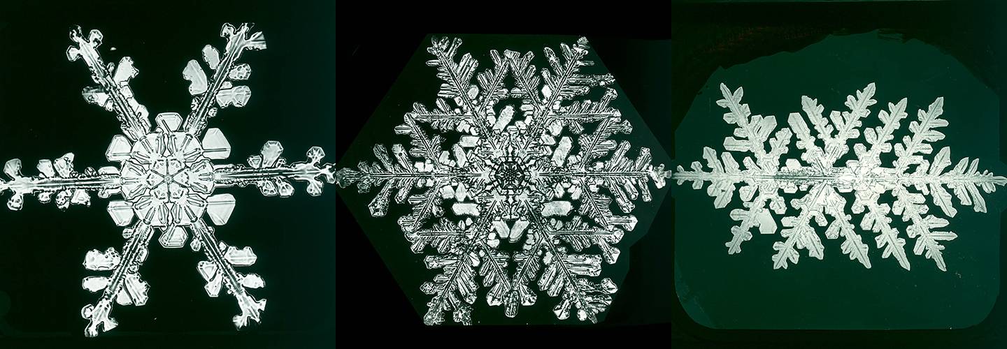 Detail Coalesce Snowflake Nomer 26