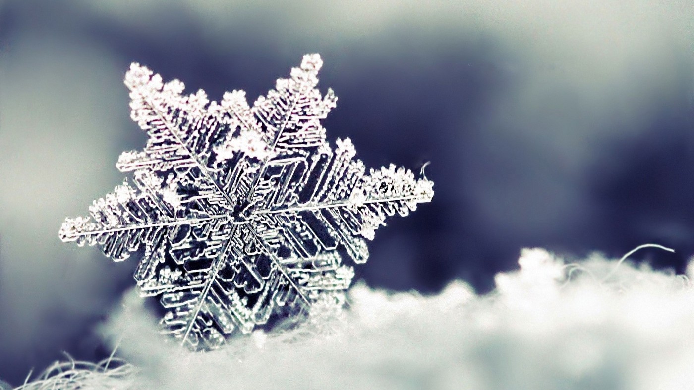 Detail Coalesce Snowflake Nomer 30