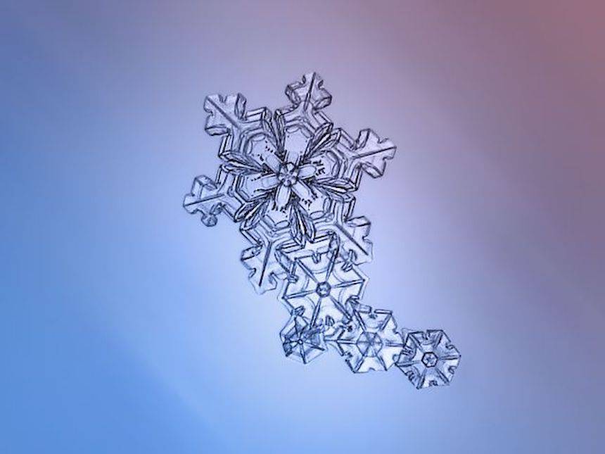 Detail Coalesce Snowflake Nomer 36