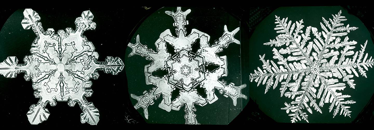 Detail Coalesce Snowflake Nomer 38