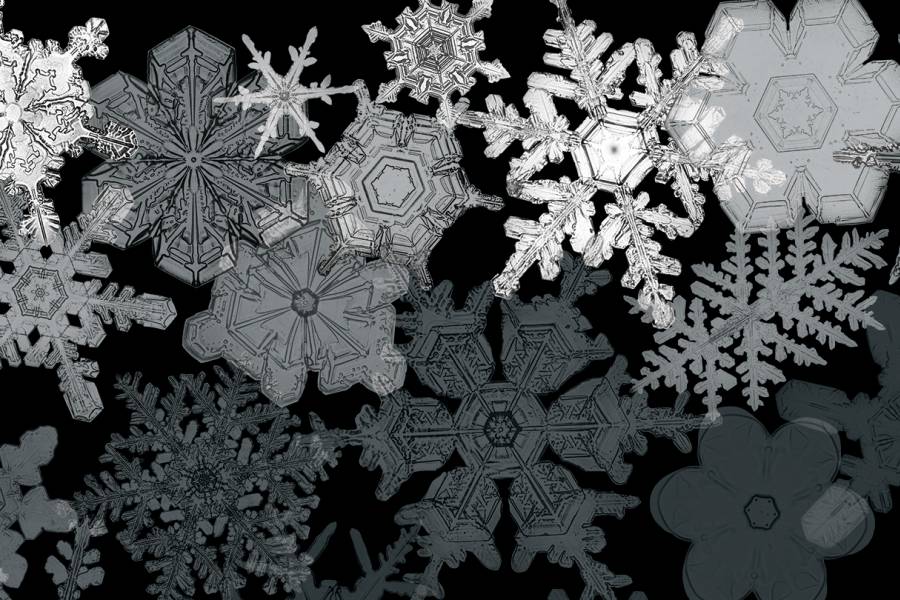 Detail Coalesce Snowflake Nomer 5