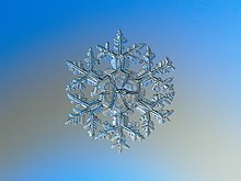 Detail Coalesce Snowflake Nomer 6