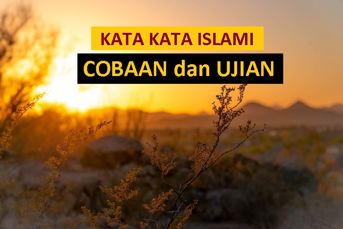 Detail Cobaan Dalam Rumah Tangga Menurut Islam Nomer 51