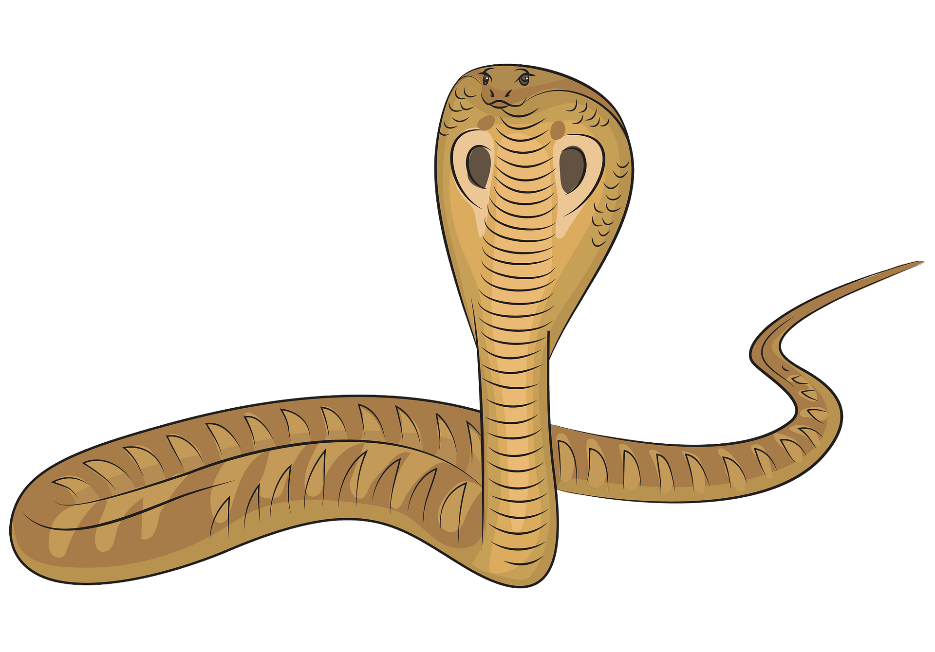 Cobra Clipart - KibrisPDR