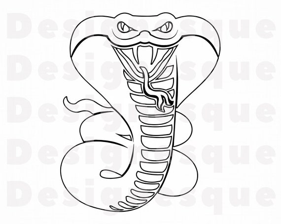 Detail Cobra Clipart Nomer 36