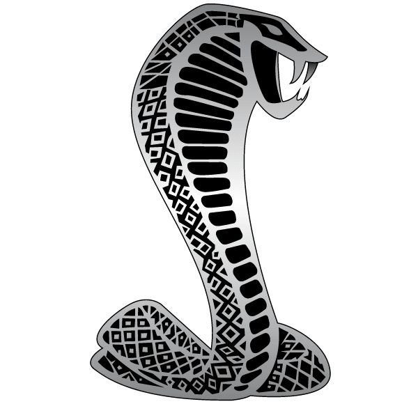 Detail Cobra Clipart Black And White Nomer 25