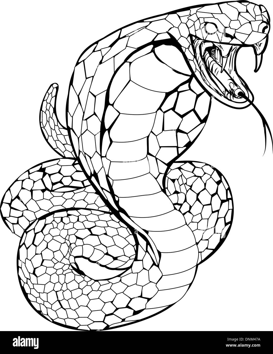 Detail Cobra Clipart Black And White Nomer 4