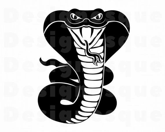 Detail Cobra Clipart Black And White Nomer 39