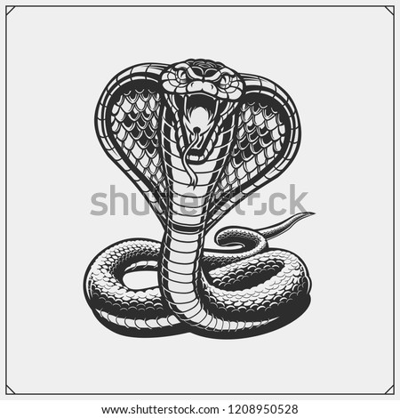 Detail Cobra Clipart Black And White Nomer 40