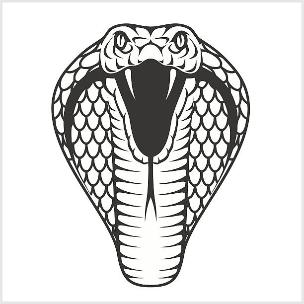 Detail Cobra Clipart Black And White Nomer 7