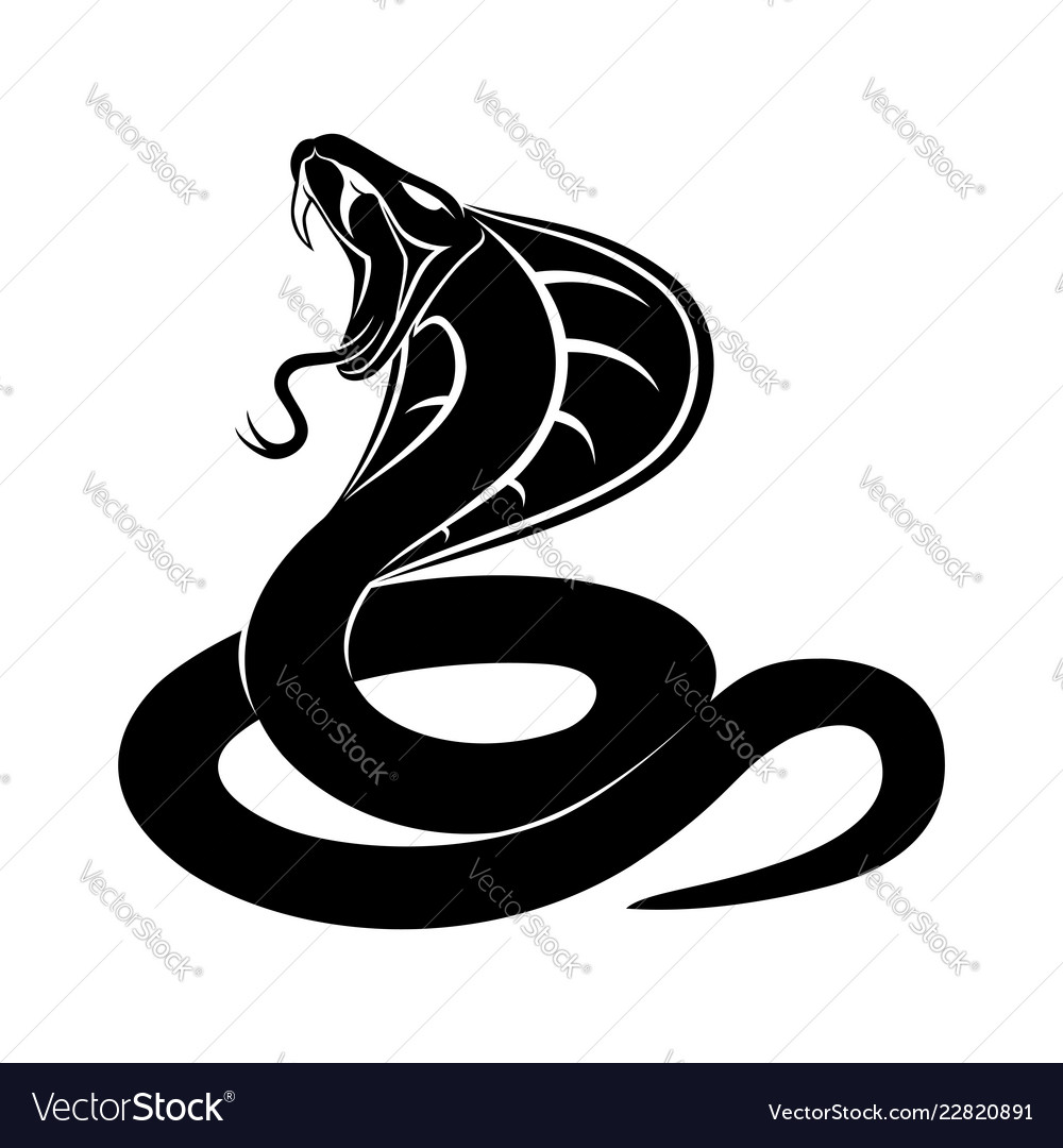 Cobra Snake Vector - KibrisPDR